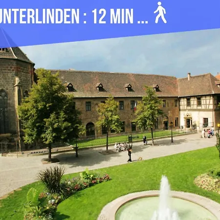 Le Green St Leon : Lit Queen Size * Wifi * Ideal Couple Colmar Exterior foto